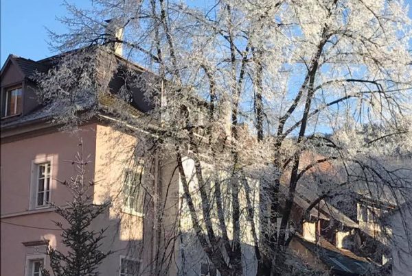 Winterwunderland Staufen